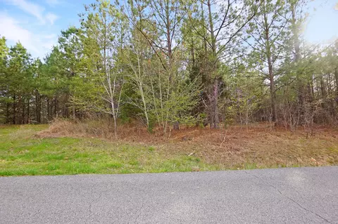 21 Cottrell Ridge Rd, Dover, TN 37058