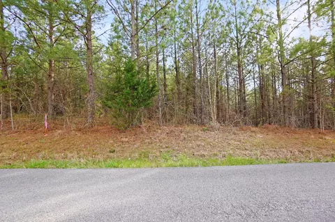 20 Cottrell Ridge Rd, Dover, TN 37058 photo 3