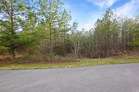 20 Cottrell Ridge Rd, Dover, TN 37058 photo 4
