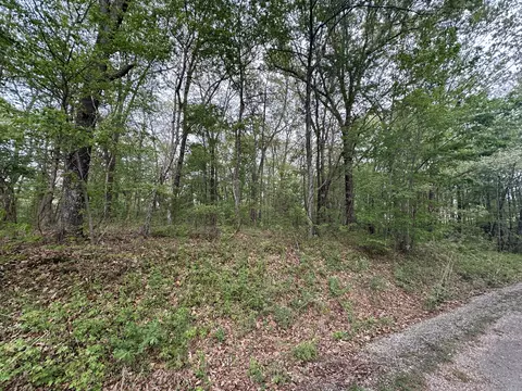 2413 Summer Oaks Cir, Summertown, TN 38483