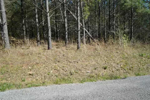 16 Ribbon Branch Rd, Dover, TN 37058