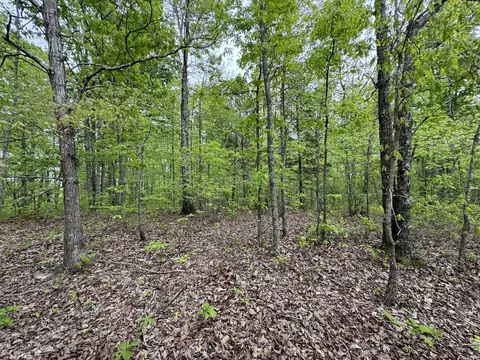 0 Airport Ridge Rd, Linden, TN 37096