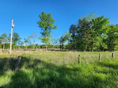 1012 Coleman Hill Rd, Rockvale, TN 37153