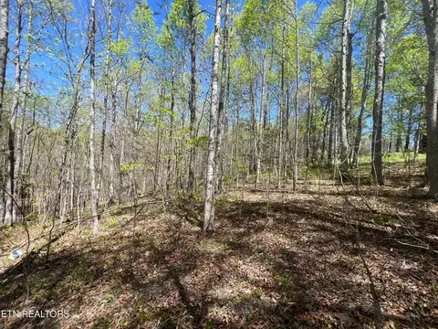 144 Copley Cemetery Rd, Jamestown, TN 38556