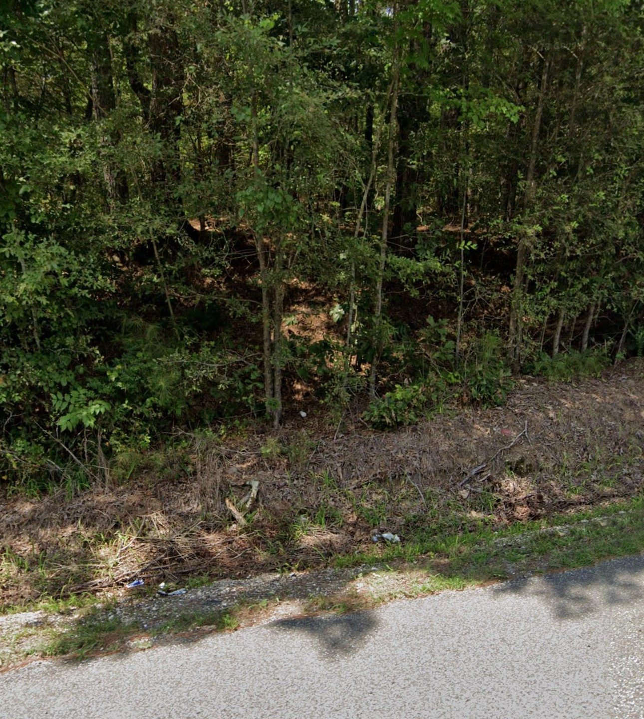 0 Flatwoods Rd  