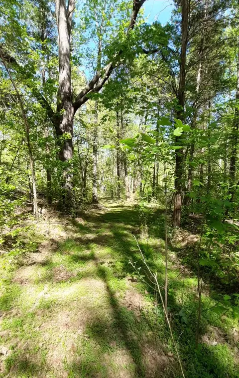 195 Atchison Rd, Camden, TN 38320