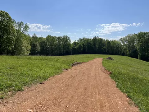 123 Blueberry Ln, Loretto, TN 38469 photo 5