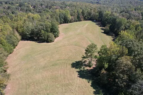 123 Blueberry Ln, Loretto, TN 38469 photo 30