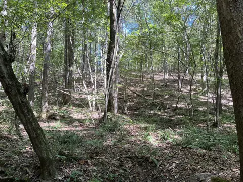 123 Blueberry Ln, Loretto, TN 38469 photo 17