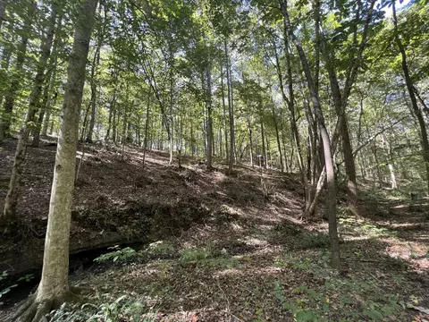 123 Blueberry Ln, Loretto, TN 38469 photo 19