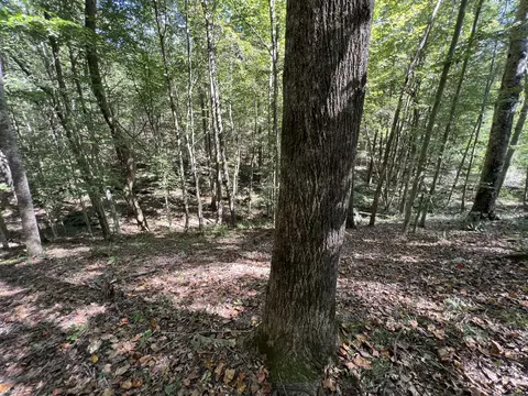 123 Blueberry Ln, Loretto, TN 38469 photo 13