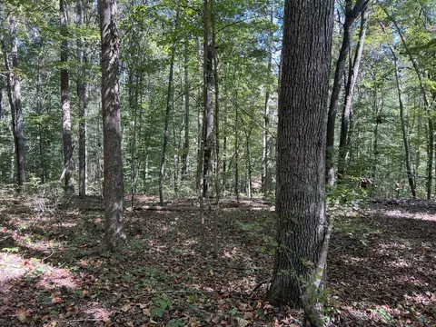 123 Blueberry Ln, Loretto, TN 38469 photo 12
