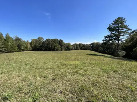 123 Blueberry Ln, Loretto, TN 38469 photo 25