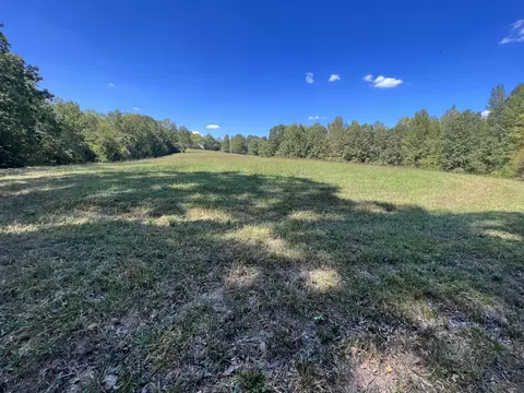 123 Blueberry Ln, Loretto, TN 38469 photo 9