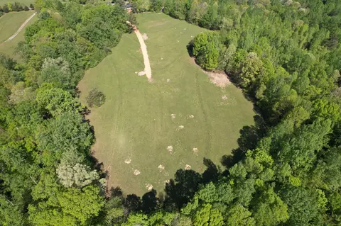 123 Blueberry Ln, Loretto, TN 38469 photo 7