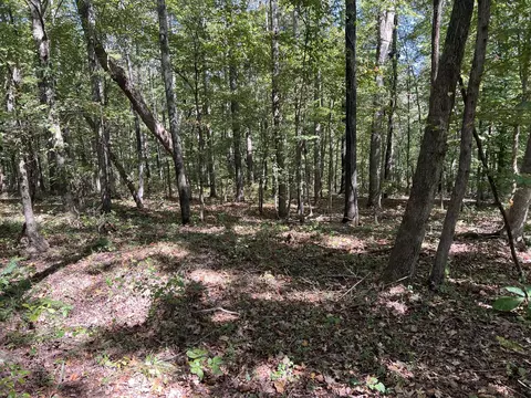 123 Blueberry Ln, Loretto, TN 38469 photo 11
