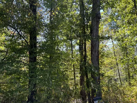 123 Blueberry Ln, Loretto, TN 38469 photo 10