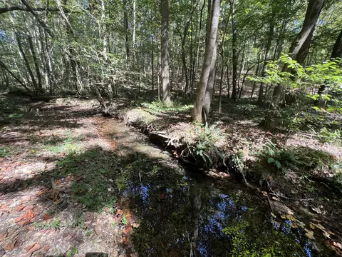 123 Blueberry Ln, Loretto, TN 38469 photo 14