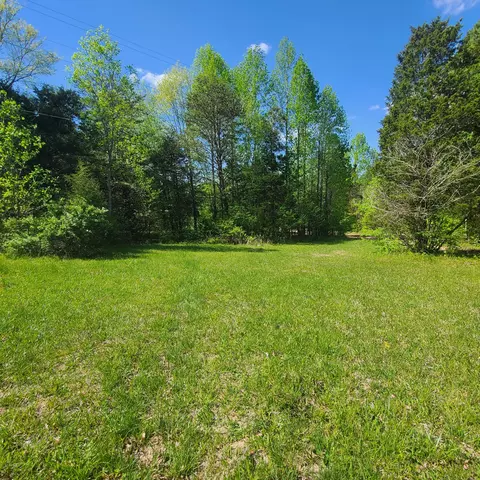 2065 Spring Creek Rd, Lafayette, TN 37083