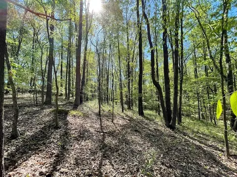 0 Katy Ln, Bethpage, TN 37022 photo 13