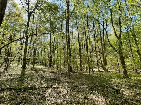 0 Katy Ln, Bethpage, TN 37022 photo 12