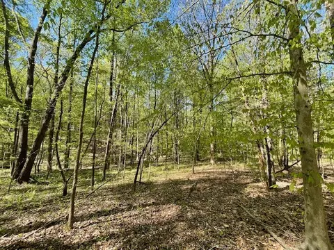 0 Katy Ln, Bethpage, TN 37022 photo 15