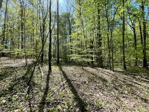 0 Katy Ln, Bethpage, TN 37022 photo 10