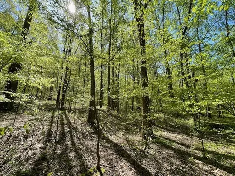 0 Katy Ln, Bethpage, TN 37022 photo 8