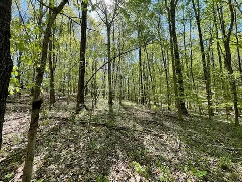 0 Katy Ln, Bethpage, TN 37022 photo 11