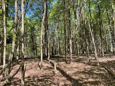 0 Katy Ln, Bethpage, TN 37022 photo 3