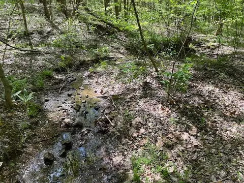 0 Katy Ln, Bethpage, TN 37022 photo 6