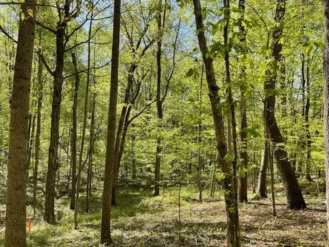 0 Katy Ln, Bethpage, TN 37022 photo 5