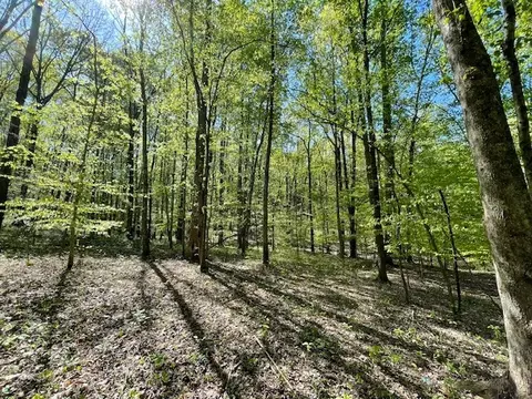 0 Katy Ln, Bethpage, TN 37022 photo 9