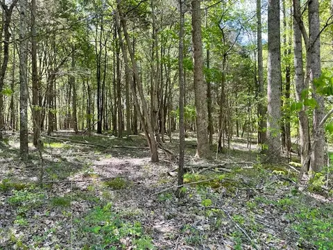 0 Katy Ln, Bethpage, TN 37022 photo 2