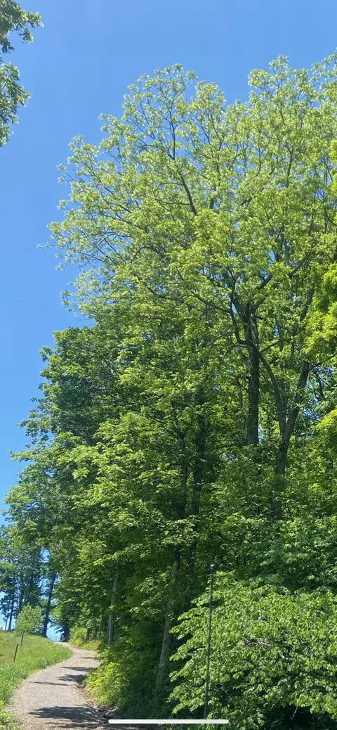 0 Adams, Charlotte, TN 37036