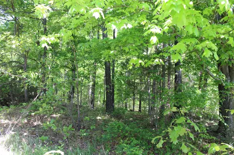 0 Hodges Rd, Cunningham, TN 37052 photo 5