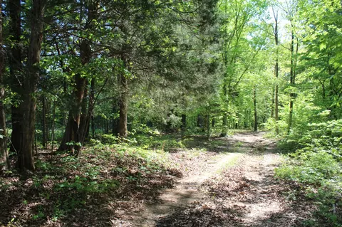 0 Hodges Rd, Cunningham, TN 37052 photo 9
