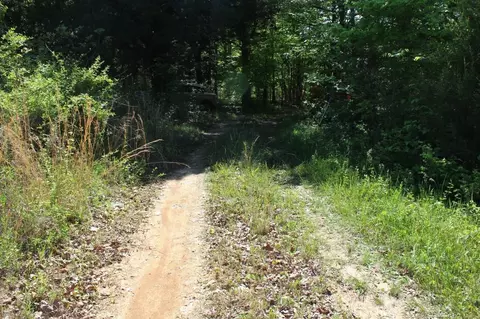 0 Hodges Rd, Cunningham, TN 37052 photo 12