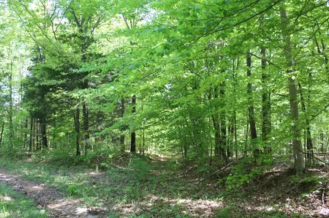 0 Hodges Rd, Cunningham, TN 37052 photo 6