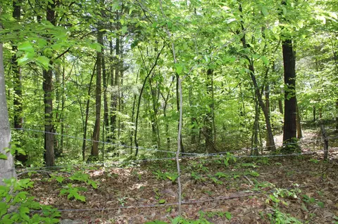 0 Hodges Rd, Cunningham, TN 37052 photo 7