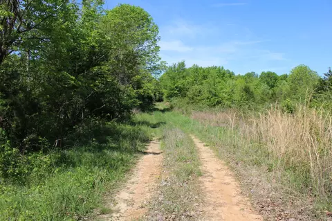 0 Hodges Rd, Cunningham, TN 37052 photo 2