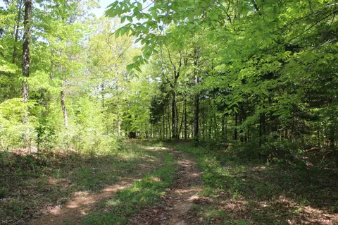 0 Hodges Rd, Cunningham, TN 37052 photo 8
