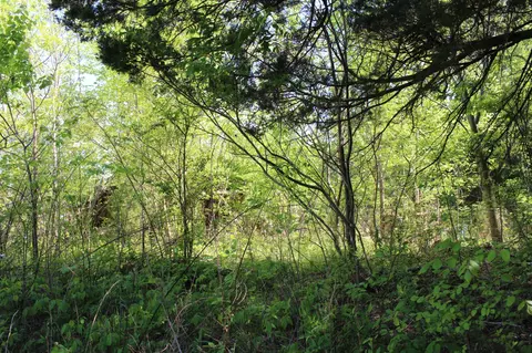0 Hodges Rd, Cunningham, TN 37052 photo 3