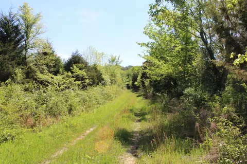 0 Hodges Rd, Cunningham, TN 37052 photo 4