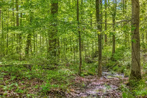 412 Kaiser Rd, Dickson, TN 37055 photo 50