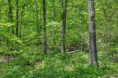 412 Kaiser Rd, Dickson, TN 37055 photo 49