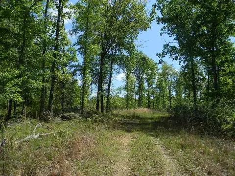 0 Ogden Rd, Waverly, TN 37185
