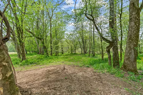 0 Backside Beaverdam Rd, Centerville, TN 37033 photo 12