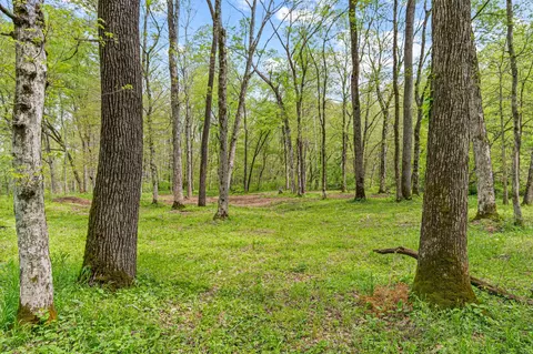 0 Backside Beaverdam Rd, Centerville, TN 37033 photo 35