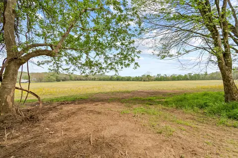 0 Backside Beaverdam Rd, Centerville, TN 37033 photo 19